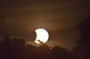 Will social eclipse be seen over West Midlands and Shropshire? UK's biggest sky event since 1999
