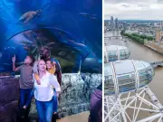 Win a Family Day Out to the London Eye and SEA LIFE London Aquarium