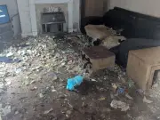 Woman Banned from Keeping Animals After Dogs Found in Urine-Soaked Home