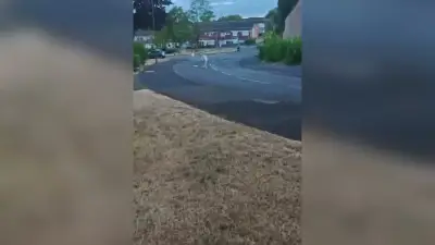 Birmingham Tip Trucks Cancelled as Travellers Occupy Quinton Park