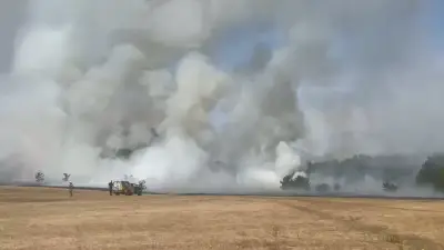 Birmingham Wildfire: Smoke Billows Across Perry Hall Playing Fields