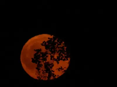 Blood Moon 2026: Met Office cloud map shows best UK viewing spots