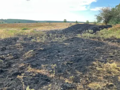 Cannock Chase BBQ Fire Kills Wildlife, Road Closed