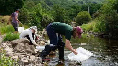 Community joins forces for major river clean-up at Bedwellty Pits