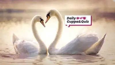 Daily Quiz: Test Your Knowledge with Today's Trivia Questions