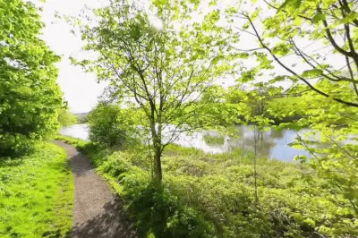 Deliberate Fire Destroys One Acre of Grass at Black Country Reserve