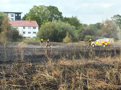 Firefighters tackle large grass blaze at Sheldon Country Park