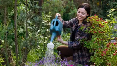 How to Keep Your Garden Alive During a Hosepipe Ban
