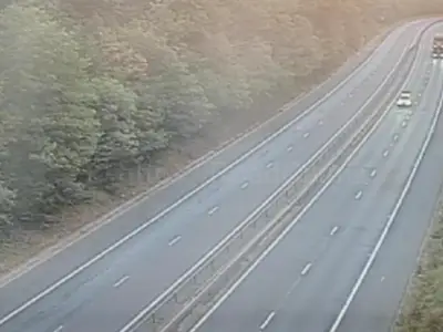 M54 Shut Overnight After Injured Animals Found on Road