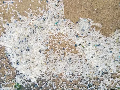 Nurdle spill: Volunteers to help River Tyne clean-up after billion pellets
