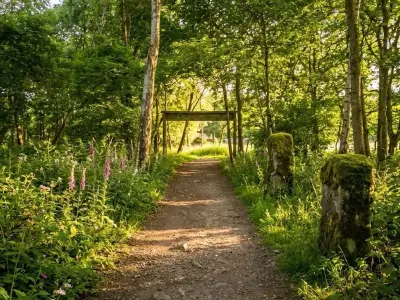 Off Grid Festival 2026: 2,000+ expected at Sutton Coldfield woodland