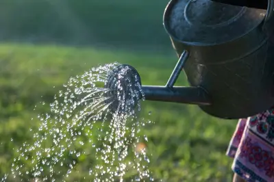 Severn Trent Issue Firm Update After Another UK Hosepipe Ban Enforced
