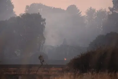 Stourbridge wildfire hospitalises child, three responders