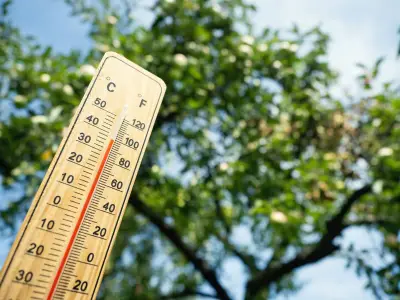 UK Heatwave 2026: 27 Counties to Sizzle as Temperatures Hit 36C