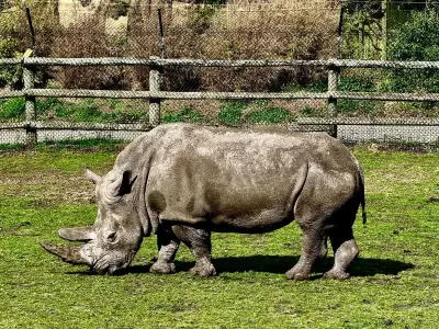 West Midlands Safari Park Kids Tickets Cut to £13.90 for Summer