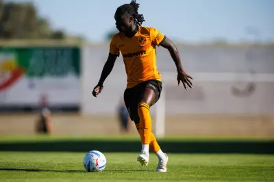 Wolves Star Faces Tough Championship Test After Loan Move