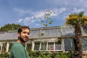 18ft Plant Flowers for First and Last Time at West Midlands Attraction