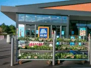 Aldi cuts British strawberry price to £2 for two packs until August 26