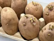 Aldi reveals how to stop potatoes sprouting at home