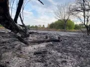 Arson probe launched after Sheldon Country Park fire in Birmingham