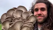 Barefoot forager Leo Utton eats wild plants daily and teaches others