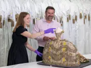 Bath Fashion Museum secures £7.2m lottery grant for new home