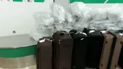 Birmingham Airport drug gang: 11 convicted in £13.8m cannabis plot