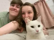 Birmingham Cat Killed by Two Dogs in Front Garden Attack