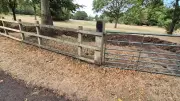 Birmingham council digs trenches in park to deter travellers
