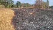 Birmingham Road Closures After Barr Beacon Fire Devastation