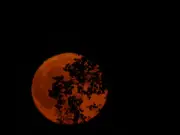 Blood Moon 2026: Met Office cloud map shows best UK viewing spots