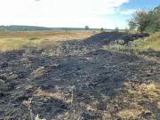 Cannock Chase BBQ Fire Kills Wildlife, Road Closed