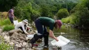 Community joins forces for major river clean-up at Bedwellty Pits