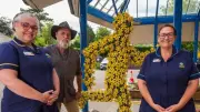 Daffodil Runner Sculpture Installed at Marie Curie Hospice in Penarth