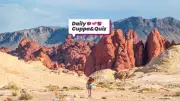 Daily Quiz Answers: August 9 Trivia and Historical Facts