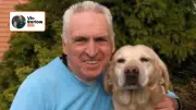 Dog Attack Tragedy Highlights Need for Responsible Pet Ownership