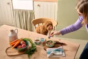 Dog Food Subscription Discounts and Rewards in Birmingham