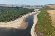 Drought order sought for River Severn amid exceptional low levels
