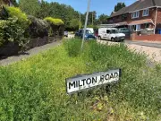 Dudley streets 'shabby' as weather fuels grass growth crisis
