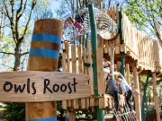 Free woodland playground at The Belfry with zip wires and trampolines