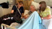 Gideon the Therapy Pony Brings Joy to Moya Cole Hospice Patients