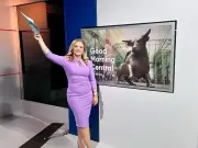 GMB presenter Lois Swinnerton confirms break from Midlands show