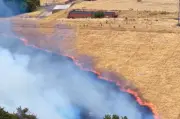 Grassland Fire in Great Barr: Crews Bring Blaze Under Control