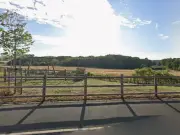 Green Belt homes approved despite 70 objections and MP opposition