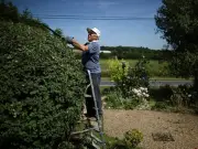 Hedge cutting prison risk rule ends August 31: what UK homeowners must know
