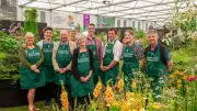 Horniman Plant Fair returns to Forest Hill this September