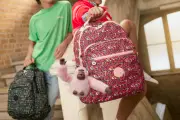 Kipling Back to School 2026 Collection: Stylish Bags for UK Students