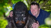 Life-Size Wooden Gorilla and Grizzly Bear to Greet Festival Goers in North Wales