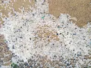Nurdle spill: Volunteers to help River Tyne clean-up after billion pellets