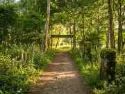 Off Grid Festival 2026: 2,000+ expected at Sutton Coldfield woodland